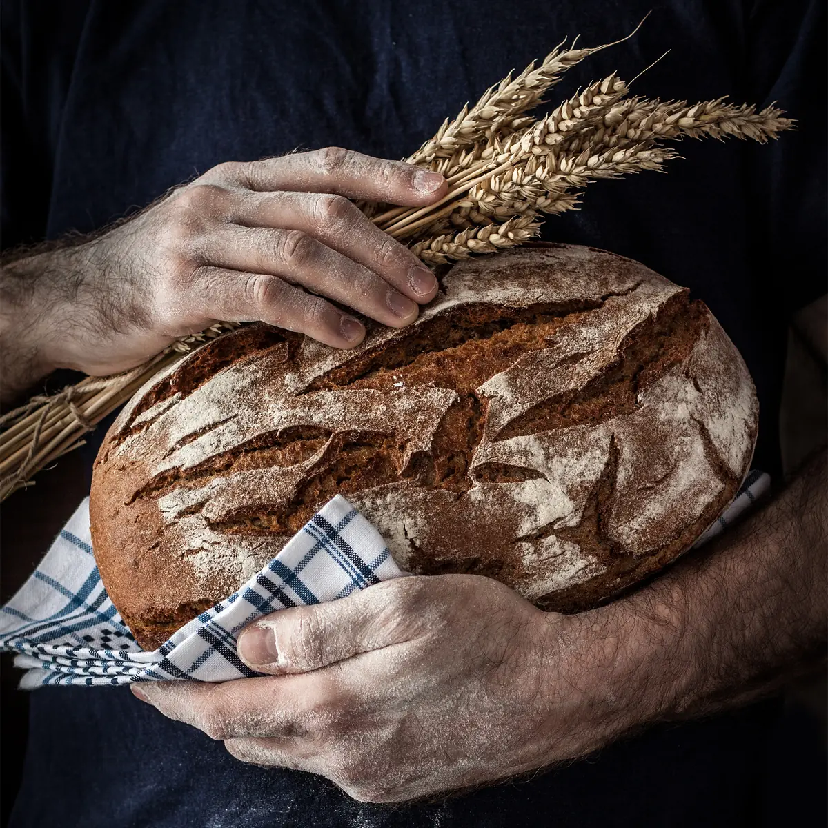 Handen houden een rond, ambachtelijk gebakken brood met korenaren